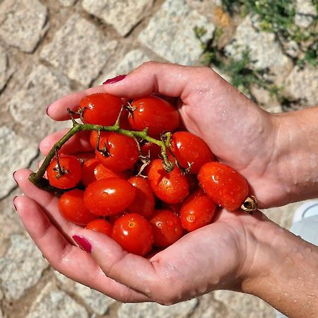 Horta Das Laranjas Serpa Exterior foto