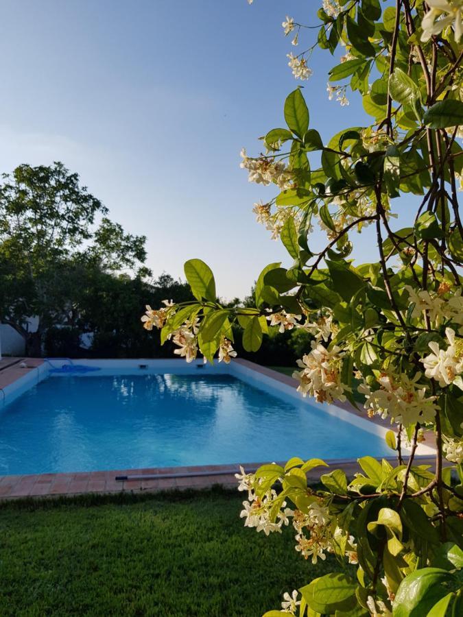Horta Das Laranjas Serpa Exterior foto