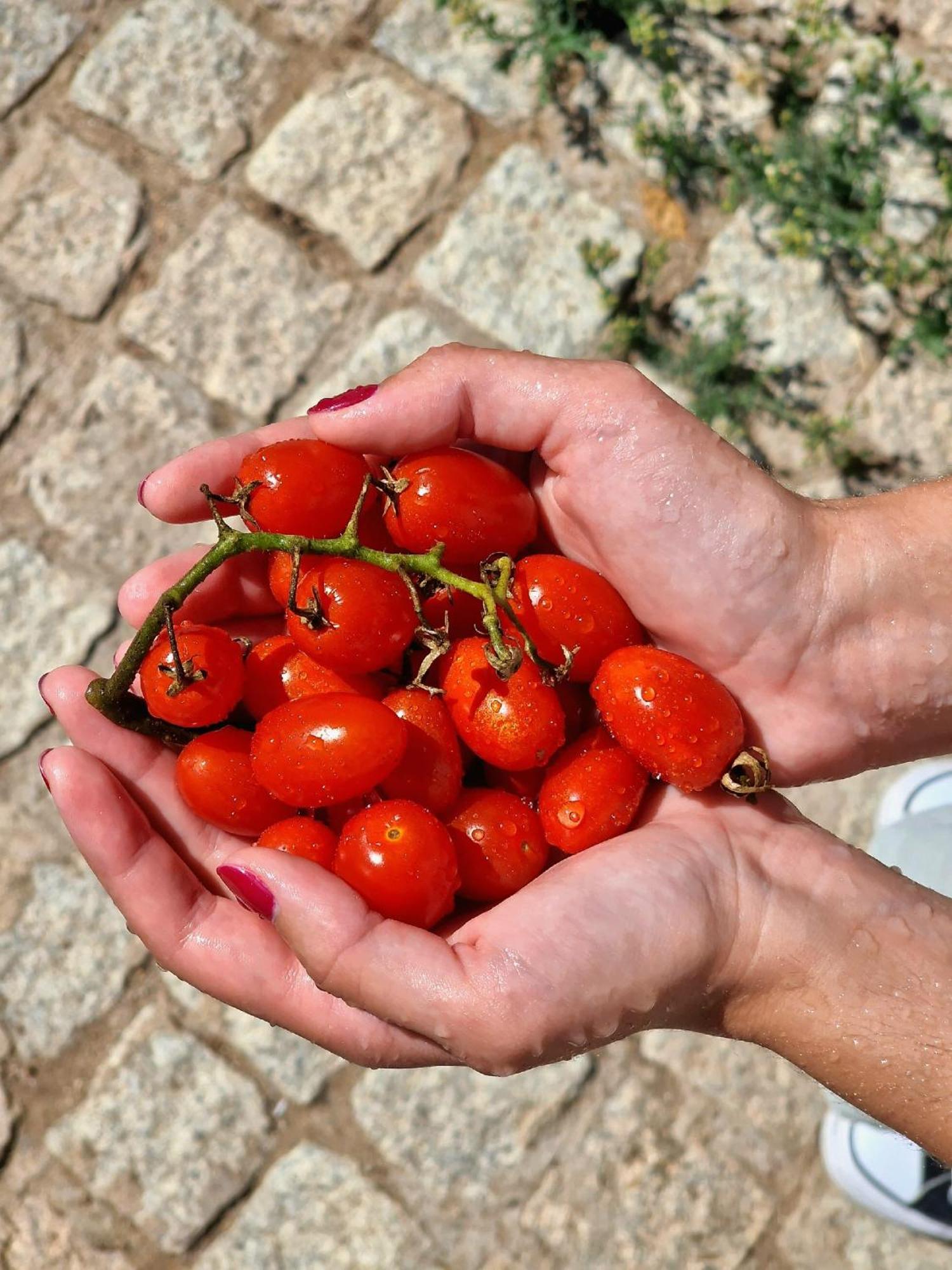 Horta Das Laranjas Serpa Exterior foto
